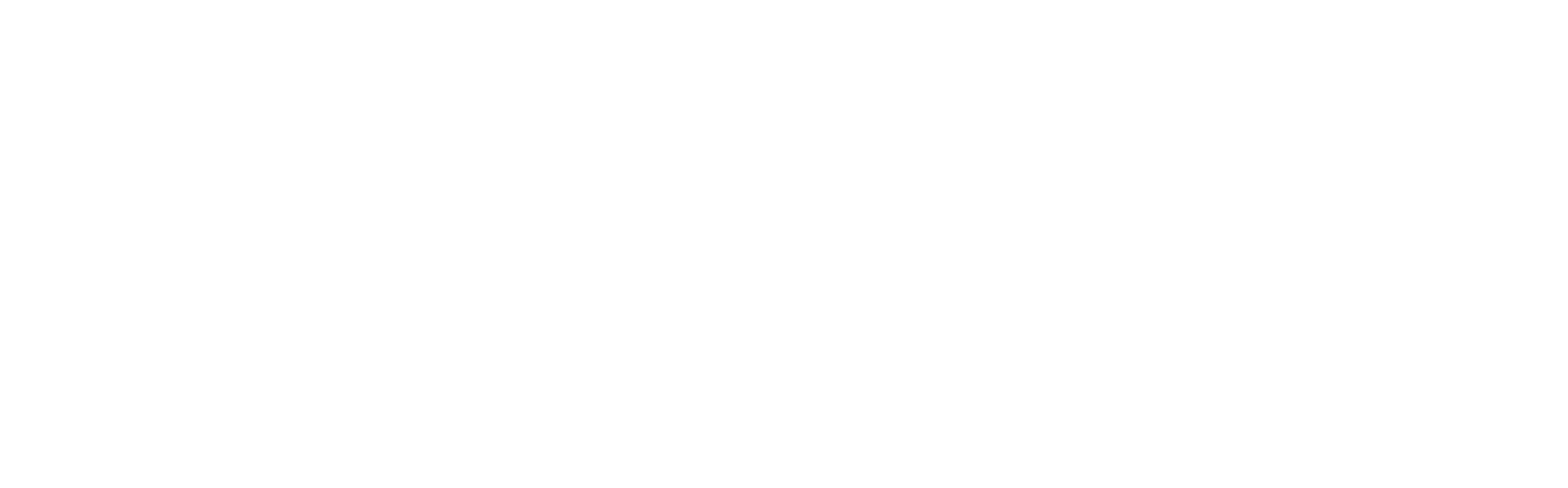 Lonestar Pizza & Grill Klepp Logo